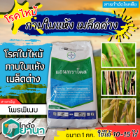 ? แอนทราโคล (โพรพิเนบ) ขนาด 1กิโลกรัม ป้องกันกำจัดโรคใบจุดสีน้ำตาลที่มีสาเหตุมาจากเชื้อรา