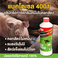 ฺBACTOCEL แบคโตเซล 4001 1000cc 3 ขวด จุลินทรีย์ฟาร์มสัตว์ ดับกลิ่นในคอก ลดแมลงวัน ป้องกันโรคในสัตว์ จุลินทรีย์คอกสัตว์ ยาสัตว์ กำจัดโรค