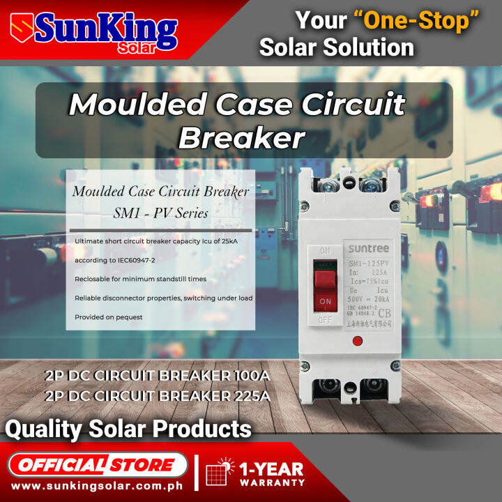 2Pole Moulded Circuit breaker battery breaker 100A 225A Lazada PH