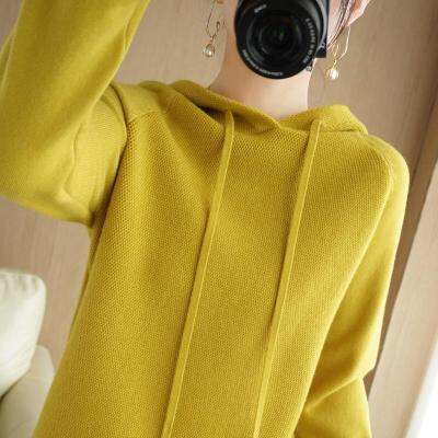 Hooded Sweater Womens Spring and Autumn 2023 New Hoodie Base Shirt Inner Riding Knitted Shirt Casual Large Size Womens Sweater with Hood 2023