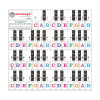 [ammoon]Piano Keyboard Stickers for 37/ 49/ 61/ 88 Keys Keyboards Removable Transparent Bigger Colorful Letters for Kids Beginners Piano Learning Practice