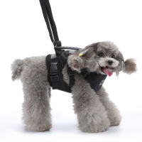 อุปกรณ์สำหรับสัตว์เลี้ยง Multi Functional Dog Chest Strap Traction Rope Walking Assist Belt Guard Dog Rope Carrying Strap