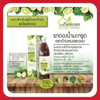 ดองน้ำมะกรูด มะกรูดดอง บ้านหมอละออง ? สมุนไพร จากมะกรูดแท้ มี 2 ขนาด 300ml. - 950ml. ส่งฟรี เก็บเงินปลายทาง เก็บไว้ได้นาน ของแท้?