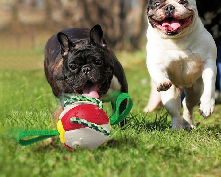 ของเล่นสุนัขลูกฟุตบอลด้วยแท็บคว้า-ของเล่นสุนัขแบบโต้ตอบ-ของขวัญสำหรับลูกสุนัข-ของเล่นลากจูงสุนัข-ของเล่นน้ำสุนัข-ลูกบอลสุนัขที่ทนทานสำหรับสุนัข-yy-ร้านค้า
