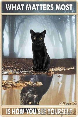 แมวดำคุณกำลังเคลือบดีบุกแบบตลกสัญญาณที่ตกแต่งผนังห้องน้ำเครื่องหมายโลหะที่ตกแต่งบ้านแผ่นโลหะวินเทจ Garag จานตกแต่ง