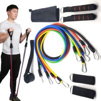 Resistance Bands Gym Fitness Elastic Exercise Bands Set With Handles Arm Muscle Latex Tube Straps for Resistance Training Belt Exercise Bands