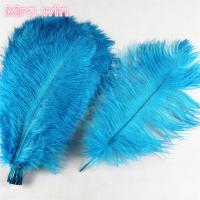 beautiful feathers good quality ostrich feathers wedding dress decoration feathers ostrich plumas for bridal bouquet decor
