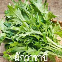 ผักกาดวาซาบิ?ถูกที่สุด10บ.?เมล็ดพันธุ์ผักกาดวาซาบิ300 เมล็ด?งอกง่าย?รสชาติเหมือนวาซาบิ