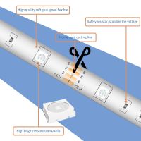 ไฟแถบไฟ LED RGB 5050 SMD แถบยืดหยุ่นได้กันน้ำโคมไฟ DC12V ริบบิ้นเทป5M 10M 15M 20M Fita ปลั๊กสหรัฐฯยุโรปสหราชอาณาจักรไดโอดเทป LED