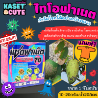 ? แถมฟรีเสื้อ 1 ตัว แซดฟาร์เน็ต 70 (ไทโอฟาเนต-เมทิล) ป้องกันโรคทางรอยแผล จากการตัดแต่งกิ่งหรือฉีกขาด (1กิโลกรัม)