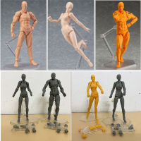 Figma Body Kun Body Chan Figure Archetype He She Ferrite Collectible Model Deaktop Decoration Toy With Stand Doll Gifts