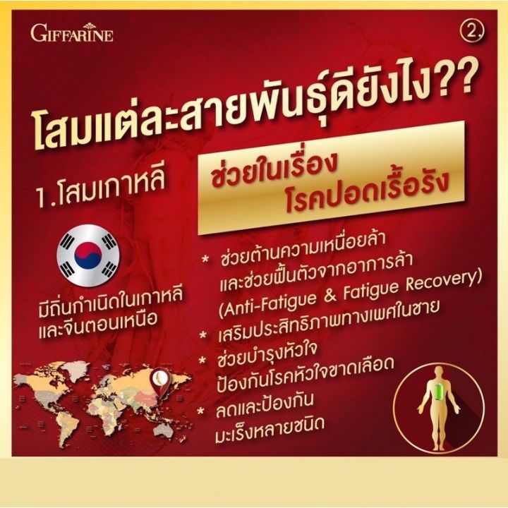 โสม-3-สายพันธุ์-สารสกัดจากโสมแดงเกาหลี-โสมอเมริกัน-โสมไซบีเรีย-โสมสกัด-ชนิดแคปซูล-กิฟฟารีน-ของแท้-ส่งฟรี