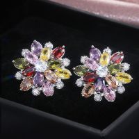 ⊙☁☾ gongyibi577964 Huitan New Arrival Stud Earring for Engage Noble Stone Earrings