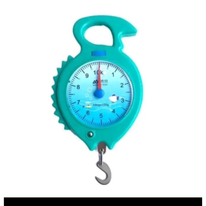 Mini fish kitchen Portable weighing scale Lazada PH