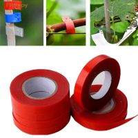 5Pc Ribbon Strecth Tape fruit tree tying Stake Plant Tapetool Branch Garden Tapener Strap Tool Trunk Bind Stem Connect Link Hand Adhesives  Tape