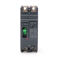 【LZ】 MCCB Molded Case circuit breaker 100a 2P With Adjustable Amperage thermal circuit breaker  manufacturer