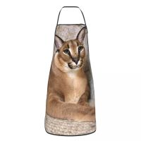 Cute Funny Caracal Cat Apron for Women Men Big Floppa Adult Unisex Kitchen Chef Bib Tablier Cuisine Cooking Baking Painting