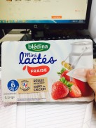 Sữa chua BLEDINA - Pháp hương vị dâu date 2023