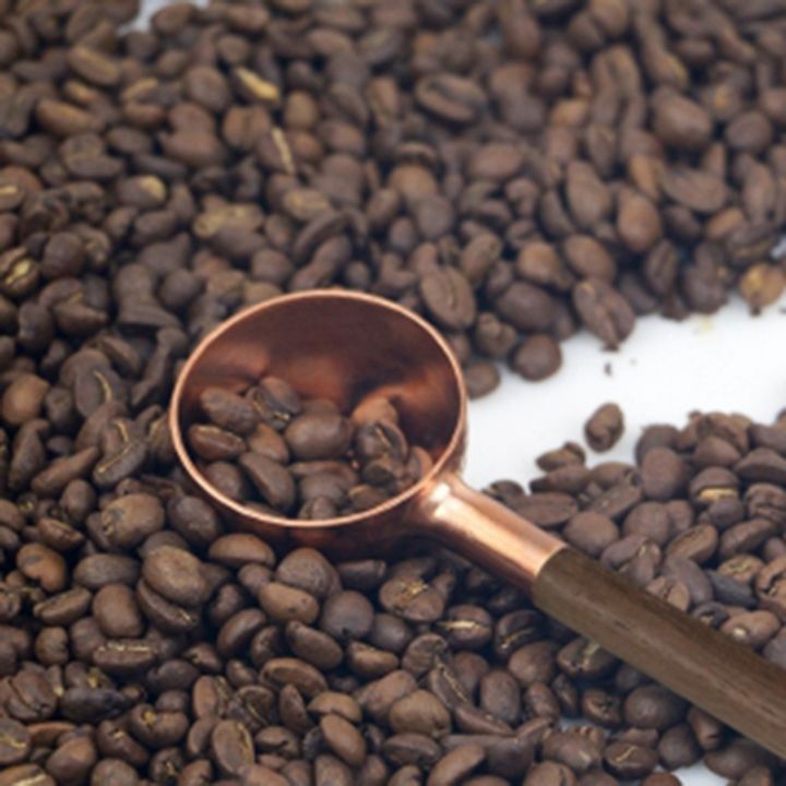 coffee-bean-measuring-spoon-solid-wood-copper-measuring-spoon-coffee-powder-quantitative-spoon-measuring-spoon-10g