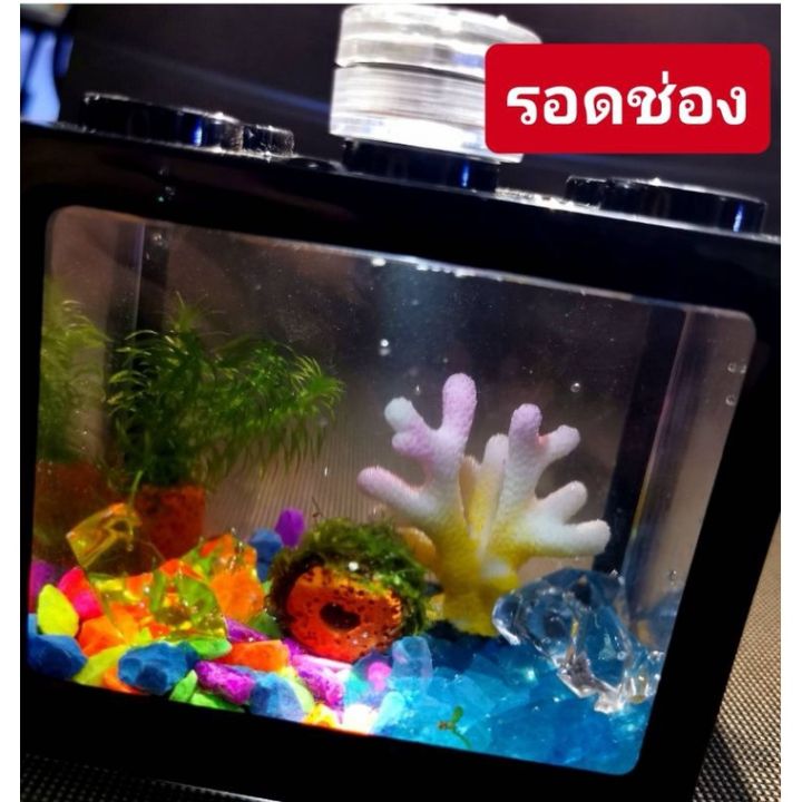 ร้านใหม่แนะนำ-เซตตู้ปลาเล็ก-มีตู้ปลาขายแยก