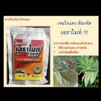 เอราไมท์ สารกำจัดไรแดง แบบสัมผัสตัวตาย!! ขนาด 100 กรัม