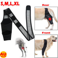 Leg Hock Suppor Protector Front T Brace S/M/XL Pet Knee