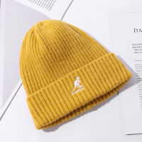 2021Womens Beanie Knitted Hat Winter Warm Cotton Acrylic Caps Multi Colors Fashion Hiphop Hats for Men and Women 002