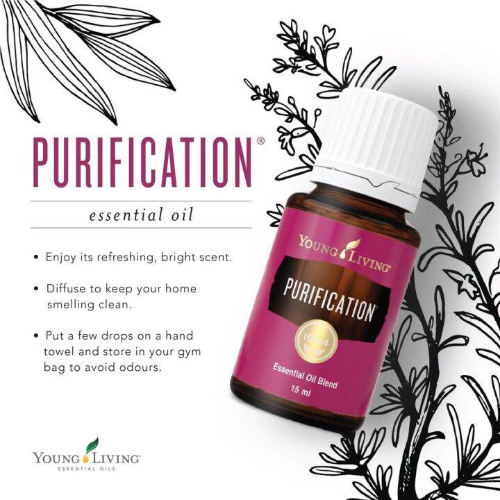 Purification Essential Oil Blend Young Living 5ml | Lazada PH