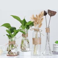 storeazz Nordic Glass Vases Living Room Table Decoration Transparent Water Hydroponics Flower Rope Dry Flower Vase Diy Bottle