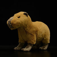 22ซม. สูงเหมือนจริง Capybara ตุ๊กตาสัตว์ของเล่นชีวิตจริงน่ารัก Capybara Plush ของเล่นวันเกิดคริสต์มาสของขวัญเด็ก ~