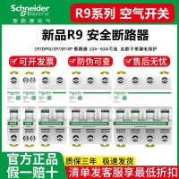 Schneider R9 Air Switch Circuit Breaker 1P2p3p4p With Leakage Protector 16 A20a40a63a Total Leakage