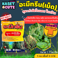 ? แถมฟรีเสื้อ 1 ตัว อะมีทรีน ตราช้างแดง (อะมีทรีน80%WG) คุมก่อน-หลังงอกหญ้าใบแคบ ใบกว้าง (1กิโลกรัม)