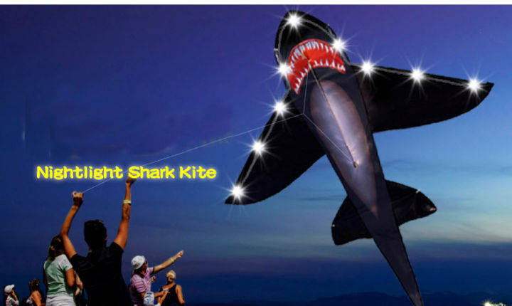 New Arrive High Quality Outdoor Fun Sports LED Shark Kite With Lights Good Flying Factory Outlet