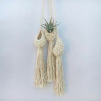 Boho Macrame Air Plant Hanger Tillandsia Hanging Basket Rope Holder Flower Home Decor