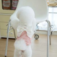 Luxurious Striped Fluffy Dog Dress with Big Bowknot for Spring and Summer  Cat and Pet Dress Dog Dresses  Dog Clothes Designer Dresses