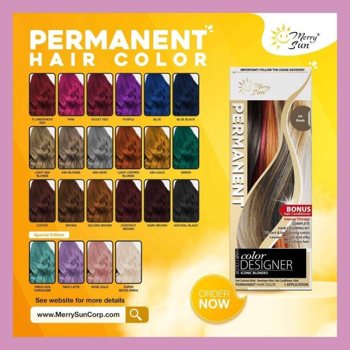 Merry Sun Permanent Hair Color Kit with Conditioner Lazada PH