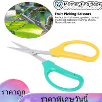 【ราคาถูก】Grape Pruning Shears ใบมีดโค้งองุ่นกรรไกรตัดแต่งกิ่งสแตนเลสบอนไซกรรไกรสาขาผลไม้หยิบตัด