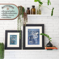 Decor Picture &amp; Frames-Sealife โปสเตอร์และกรอบ เซ็ทสัตว์ทะเล | โปสเตอร์ รูปภาพ โฟโต้ ภาพ กรอบ กรอบรูป ติด ผนัง กำแพง บ้าน ตกแต่งบ้าน ร้าน ทะเล สัตว์ ปลา