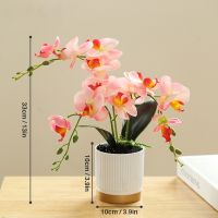 【YF】ↂ✸  Artificial Phalaenopsis 33cm Faux Oceania Orchid Arrangement with Vase Potted Flowers Phalaenopsis Orch