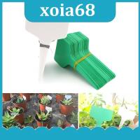 xoia68 Shop 100pcs Plant Tag T Type Plant Markers Label Nursery Pots GardenTool  for Plant Flower Pot Vegetable Tray Sign Card