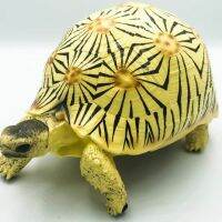 โมเดลเต่าเรซิ่น เต่าราเดียตา high yellow radiated tortoise ขนาด 15×22×22 ซม