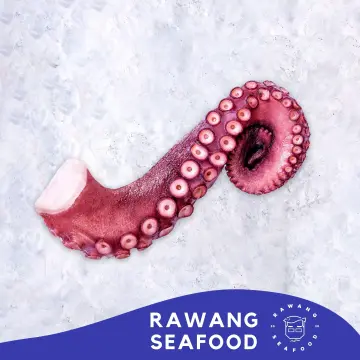 octopus tentacle - Buy octopus tentacle at Best Price in Malaysia