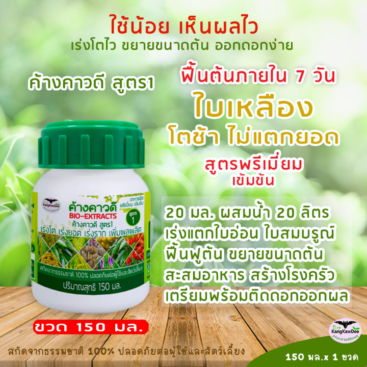 พืชใบเหลือง-ไม่โตไม่แตกยอด-ฟื้นบำรุงต้นใบราก-เร่งโตไว-เร่งแตกยอด-ขยายลำต้น-ติดดอกติดผลดก-ปุ๋ยน้ำทางใบ-ค้างคาวดี-สูตร1-150มล