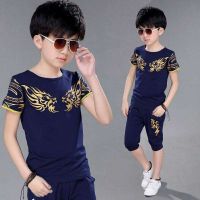 【CC】 2023 New Boy Children  39;s Clothing Cotton T-shirt   Shorts 2 Piece Boys Set Pattern 6 8 10 12 Years