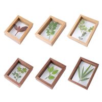 【ELE Photo frame】 DIY แฟชั่นวินเทจตกแต่งงานแต่งงานพืชตัวอย่างกรอบรูปผู้ถือภาพไม้