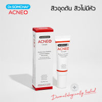 ครีมสลายสิวอุดตัน ละลายสิวหัวดำ สิวเสี้ยน  Dr.Somchai Acne Cream 15 g.