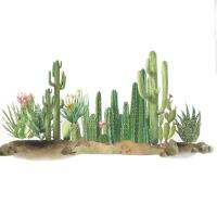 Desert Cactus Wall Stickers for Living Room Bedroom Kids Rooms Dining Room Wall Decor Wall Decals Home Decoration Murals