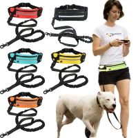 Reflective Dog Leash Elastic Sport Waist Bag Set Running Belt Fanny Pack Hands-free Dog Traction Rope Jogging Pull Dog Leashes