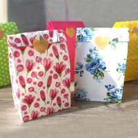 【YF】◑■  Paper bag up Colorful BagsCookie Packing Birthday Favor 12pcs/lot