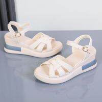 HOT★ฤดูร้อนผู้หญิงรองเท้าปากปลา Buckle Wedges ผู้หญิงขนาดใหญ่รองเท้าผู้หญิง Zapatillas Sandalias Zapatos Chaussure วัว